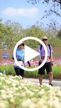 BIB:  <button type="button" onclick="openModal(27586189)" class="btn btn-primary btn-sm float-right" data-toggle="modal" data-target=".modal-high-quality">
                <i class="fa fa-download"></i> Download
                </button>